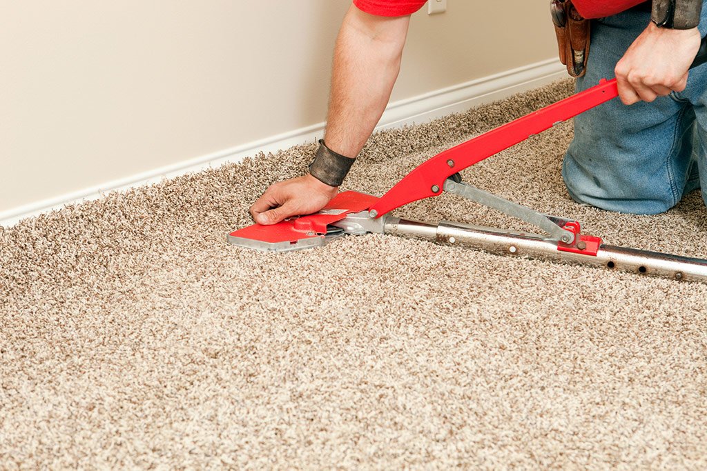 Carpet Installation and Cleaning