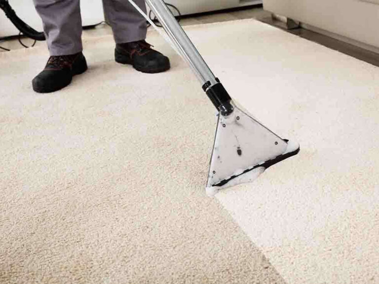 Carpet Cleaning Services